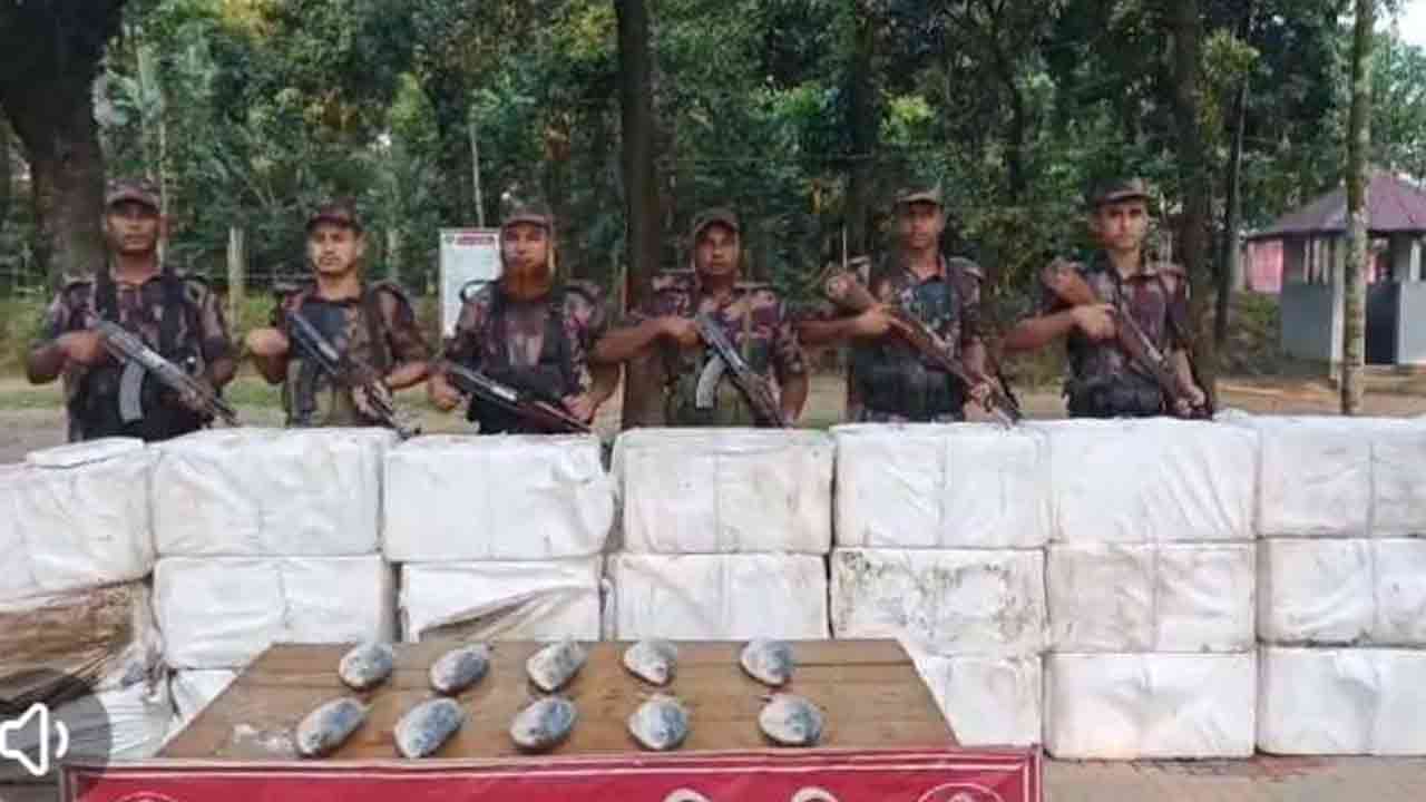 ভারত পাচারের সময় সুনামগঞ্জ সীমান্তে ৮৮৫ কেজি ইলিশ জব্দ&nbsp;