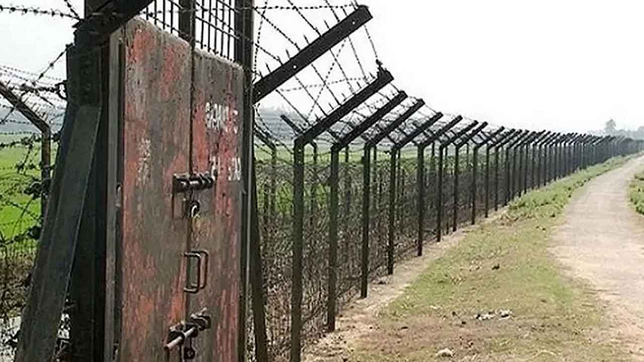 সীমান্তে ১৭ কেজি ইলিশসহ ভারতীয় নাগরিক আটক