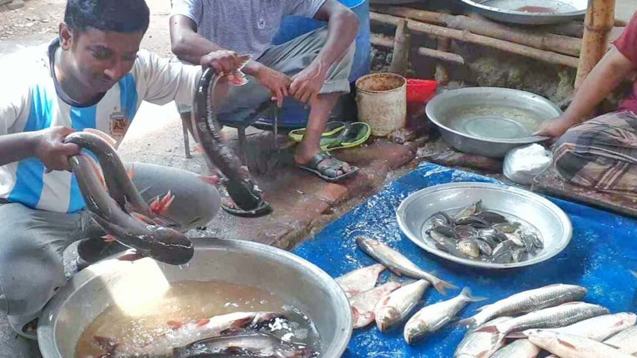 ছবি: সংগৃহীত