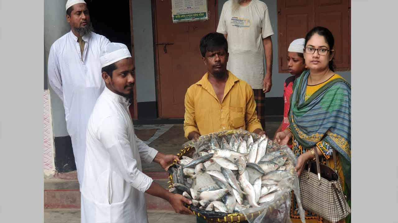 ইলিশগুলো এতিমখানায় বিতরণ করা হয়।