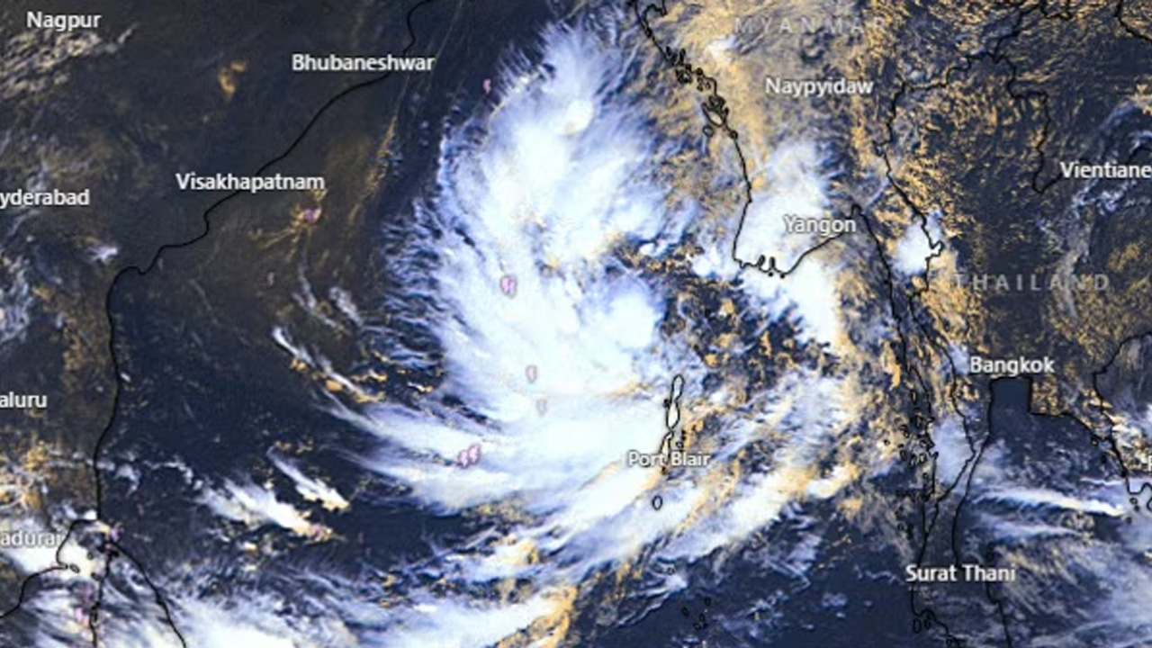 ছবি: সংগৃহীত