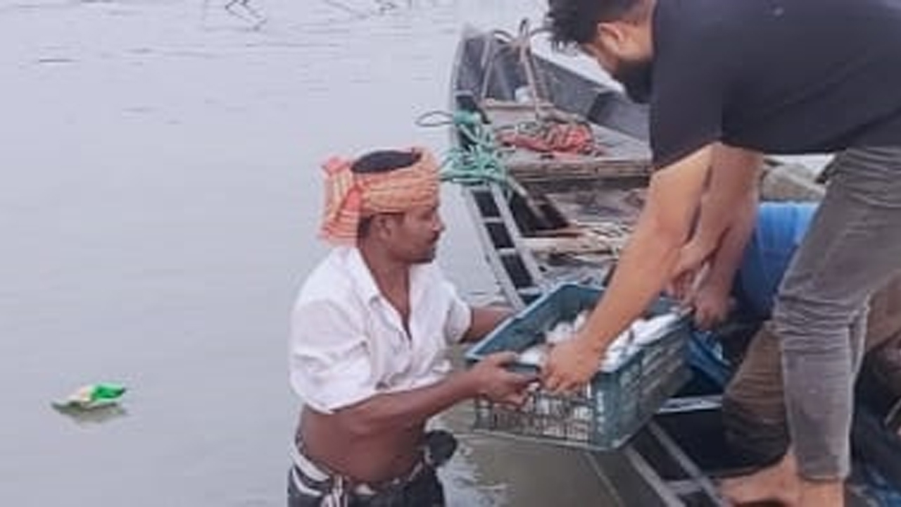 ফরিদপুরে ২০ হাজার মিটার কারেন্ট জাল ধ্বংস, ৩০ কেজি ইলিশ জব্দ