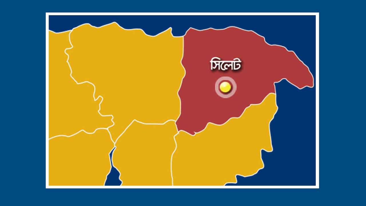 ফাইল ছবি