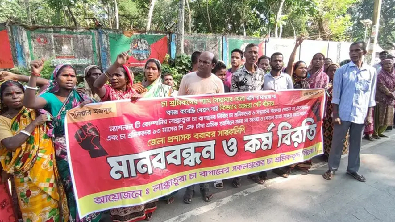 সিলেটে টানা আন্দোলনে শ্রমিকরা, চা উৎপাদনে ধস