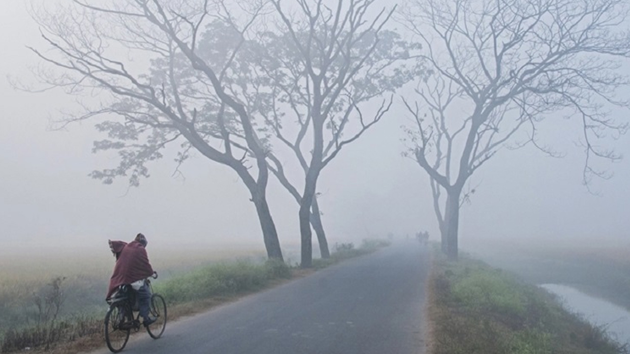 ফাইল ছবি