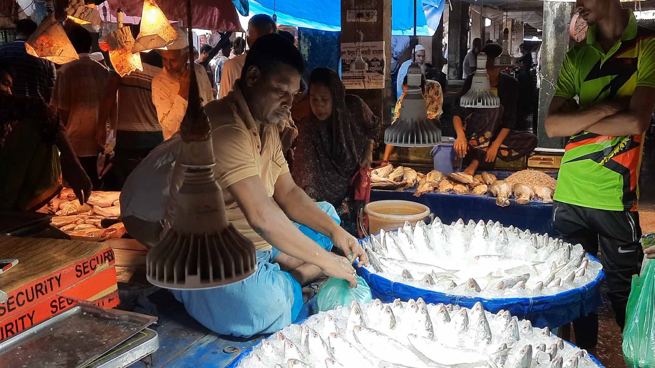 সাধারণের নাগালের বাইরে ইলিশের দাম, কেজি ১৬ থেকে ২ হাজার