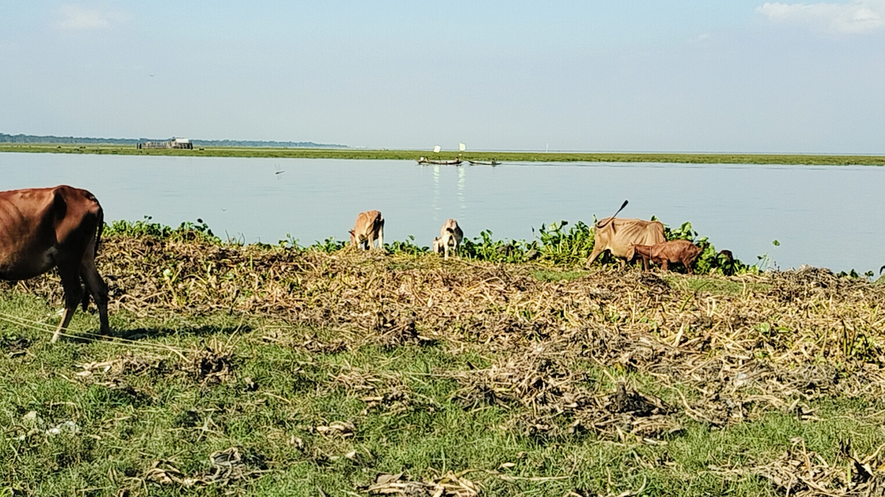 ভয়াল ১২ নভেম্বর: আজও আঁতকে ওঠেন উপকূলবাসী