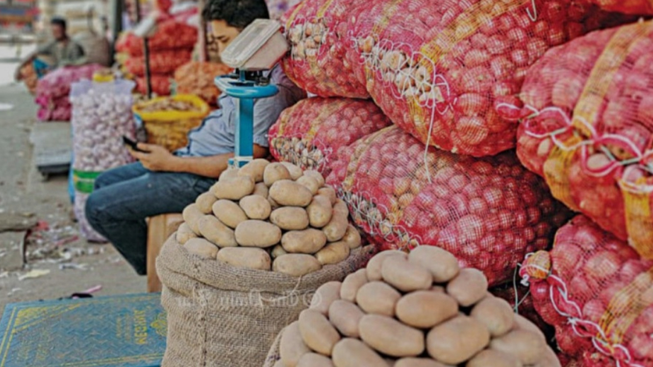 আলুর কেজি ৭৫ টাকা, বিক্রি নেমেছে অর্ধেকে