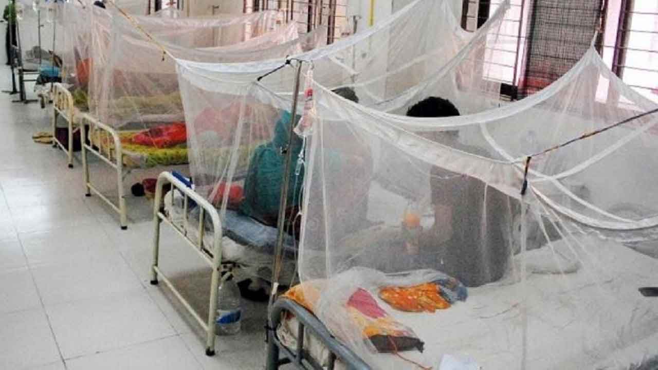 ডেঙ্গুতে প্রাণ গেল আরও ৭ জনের