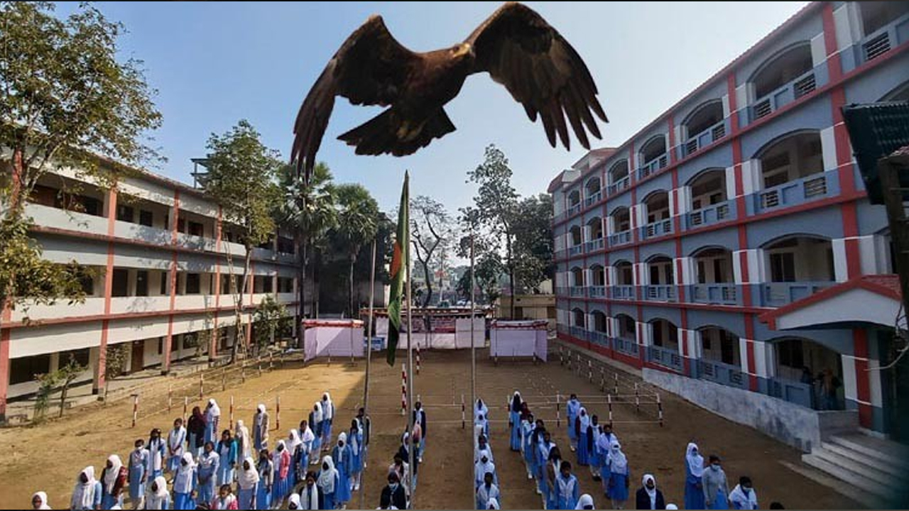 চিল পাখির আক্রমণে এক শিক্ষার্থী আহত