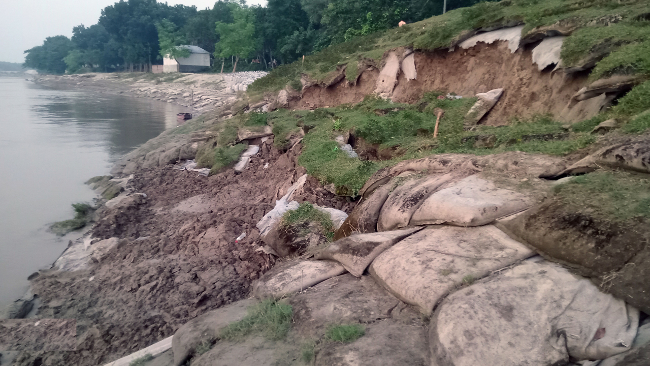 মধুখালীতে মধুমতী নদীর ভাঙনে বিলীন বাড়ি, ফসলি জমি