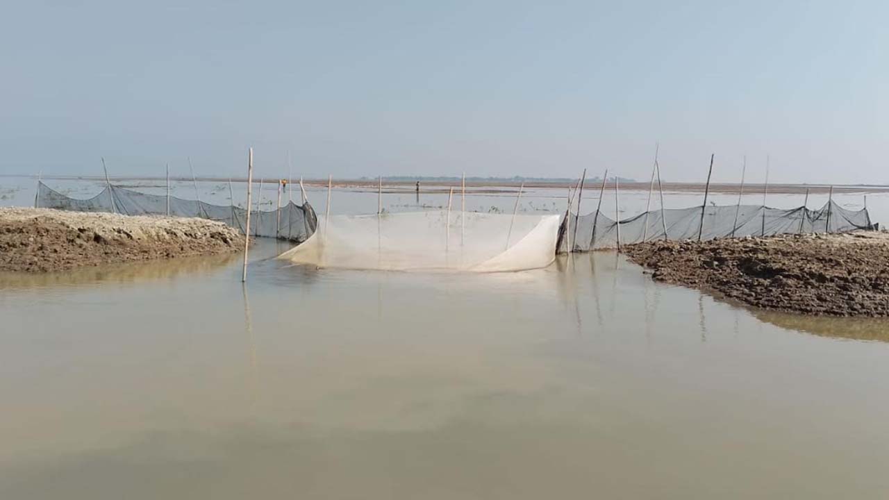 ছবি : দেশটিভি