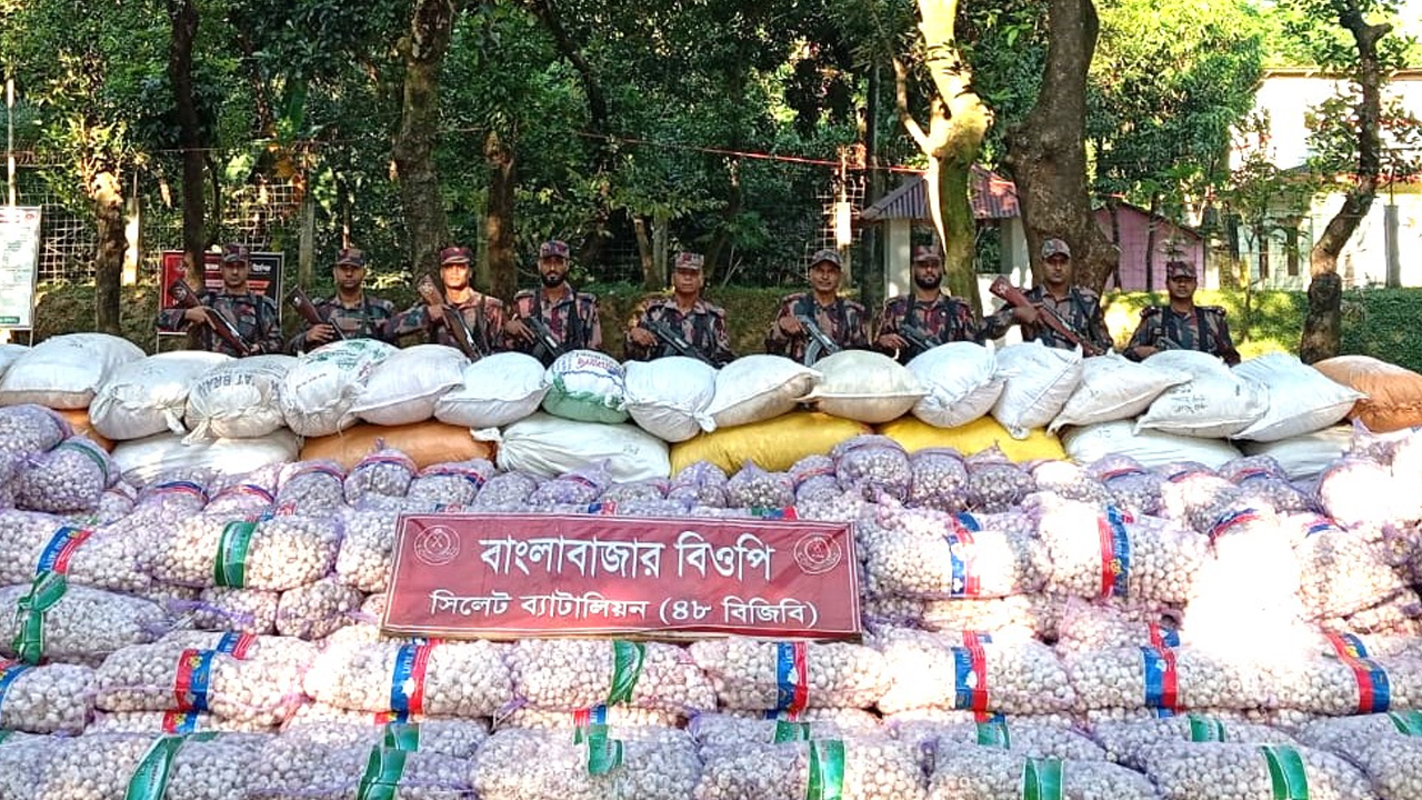 সীমান্তে বিজিবির অভিযানে ৭০ লাখ টাকার চোরাই পণ্য আটক