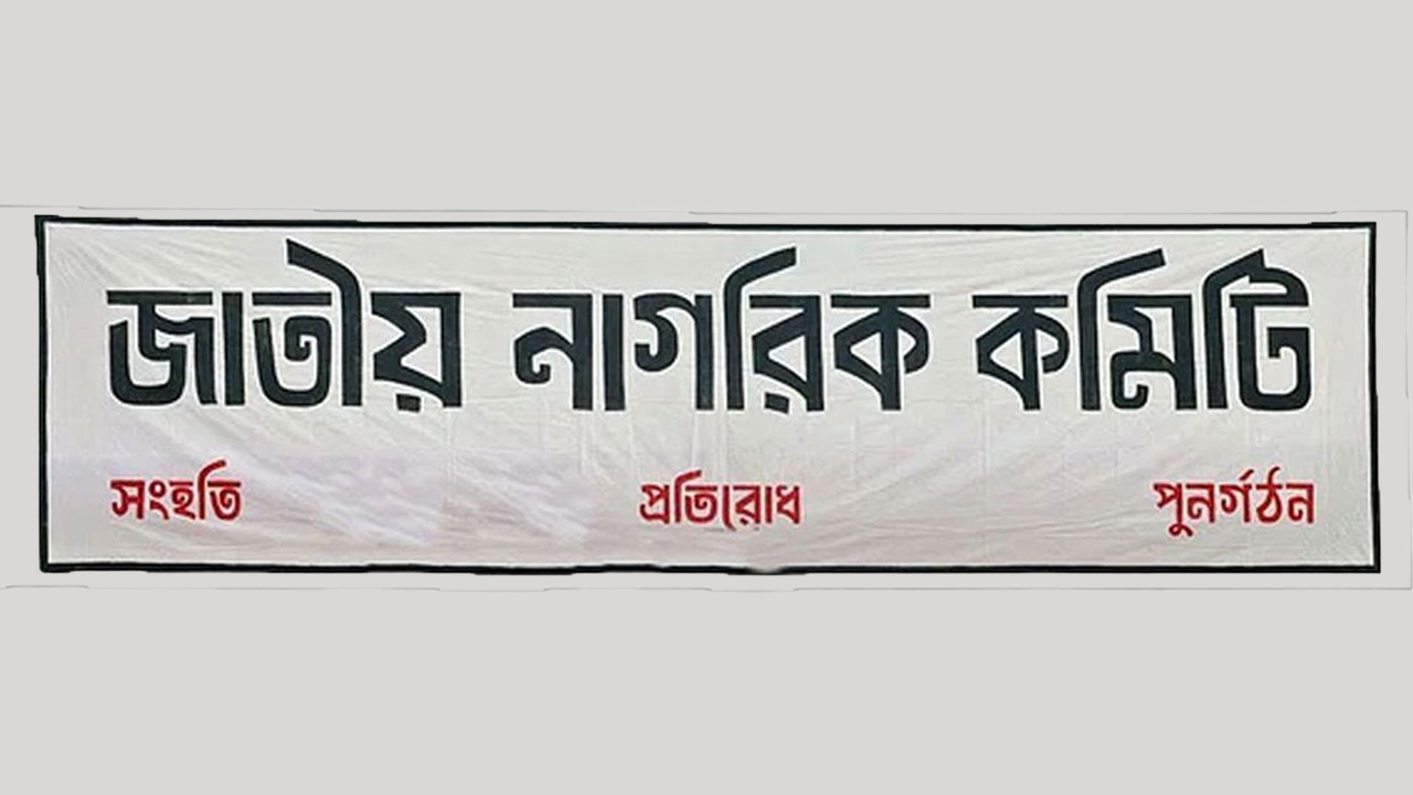 নাগরিক কমিটিতে যুক্ত হলেন সারজিসসহ আরও ৪৫ জন