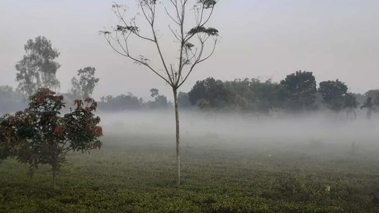 শীতে কাঁপছে তেঁতুলিয়া, তাপমাত্রা নামল ১২ ডিগ্রিতে