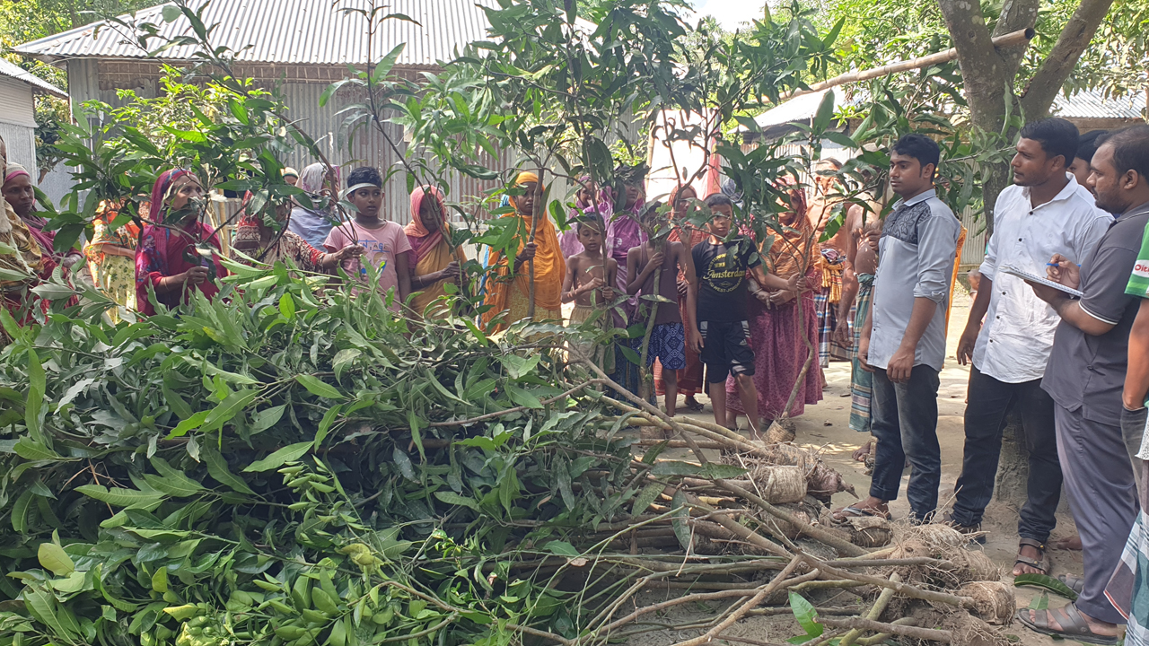 ছবি: দেশ টিভি