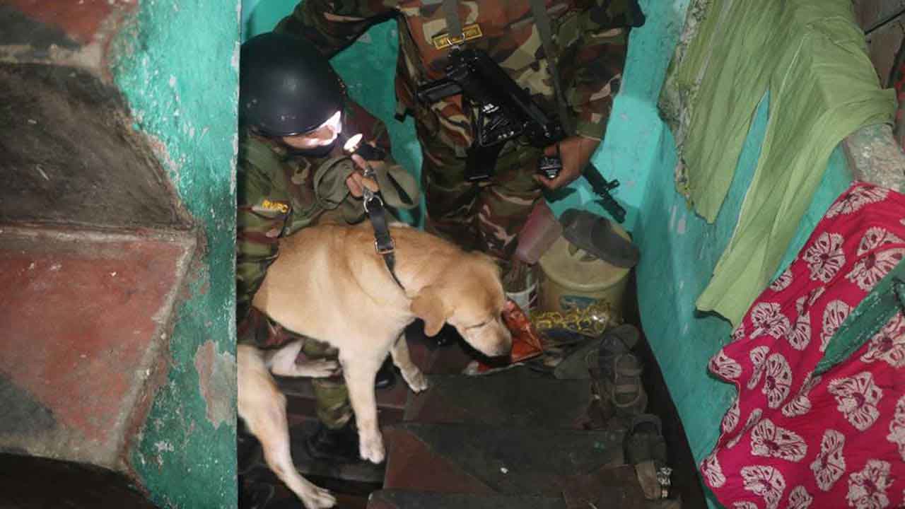 জেনেভা ক্যাম্পে যৌথবাহিনীর অভিযান, গ্রেপ্তার ১২