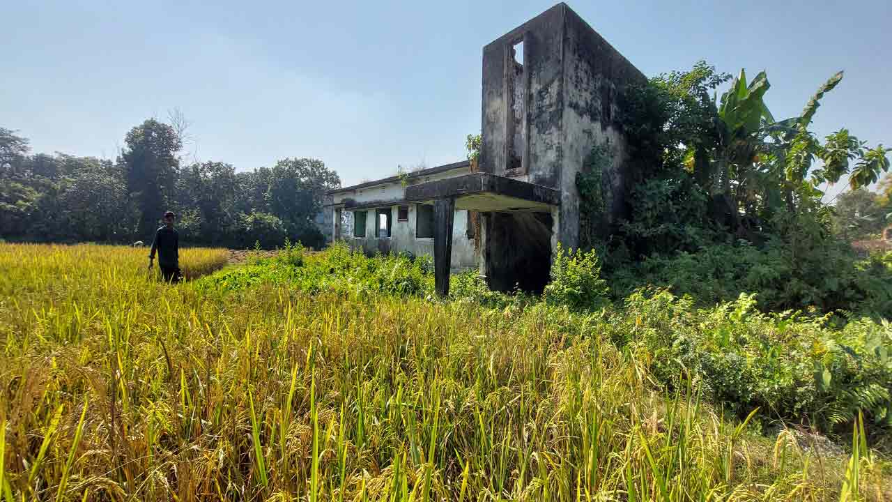 সরকারি জমিতে নিজের জন্য চাষাবাদ করছেন বিটিসিএল কর্মকর্তা