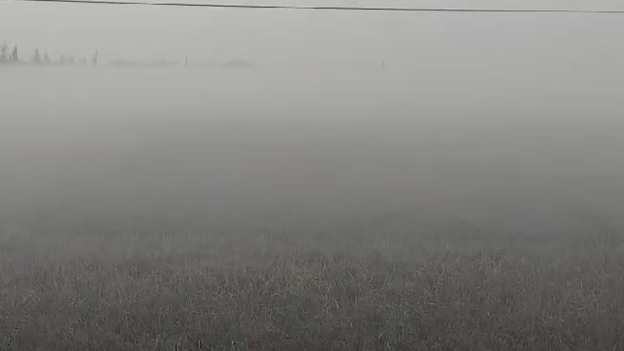 পটুয়াখালীতে তীব্র শীতে বিপর্যস্ত জনজীবন