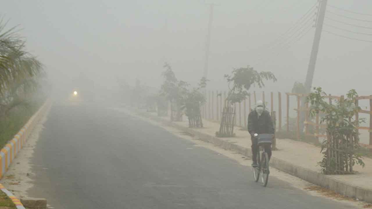 ফাইল ছবি