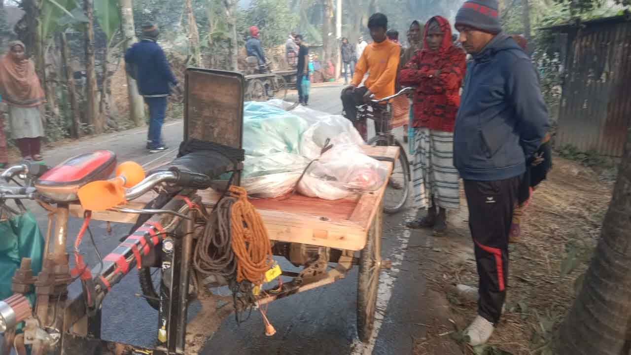 নাটোরে ট্রাকের ধাক্কায় প্রাণ গেল ভ্যানযাত্রীর