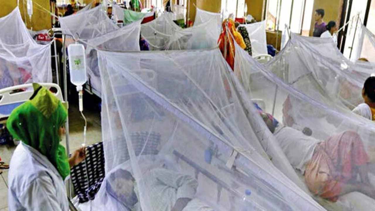 ডেঙ্গুতে আরও ৩ জনের মৃত্যু, হাসপাতালে ১৪১