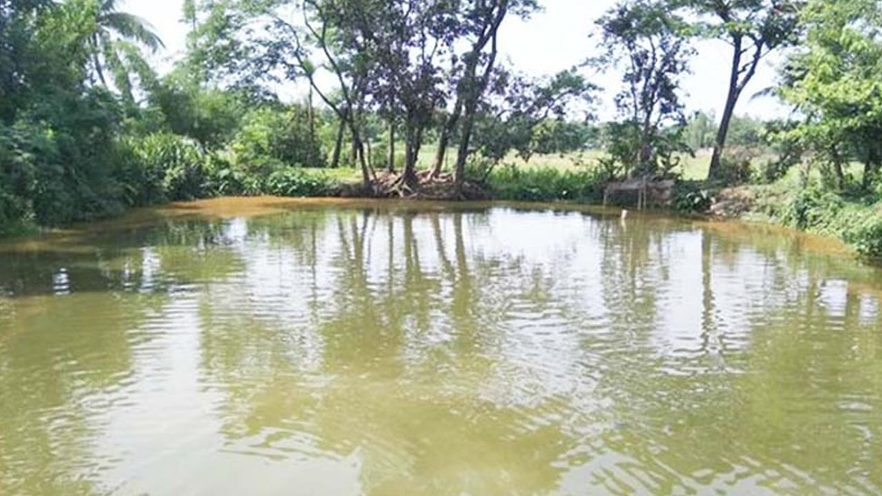 লক্ষ্মীপুরে পানিতে ডুবে দুই শিশুর মৃত্যু