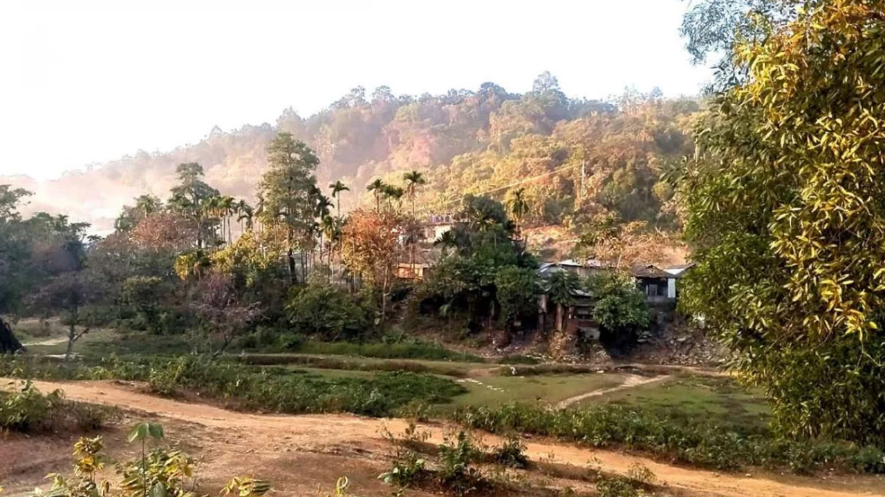 সীমান্ত থেকে ১৩ বাংলাদেশিকে আটকের অভিযোগ বিএসএফের বিরুদ্ধে