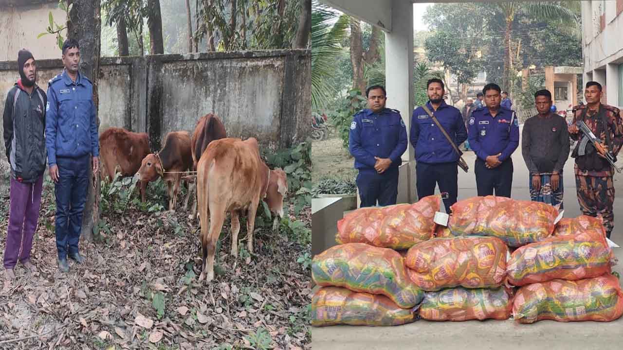 সীমান্তে ভারতীয় গরু ও জিরাসহ দুই চোরাকারবারি আটক