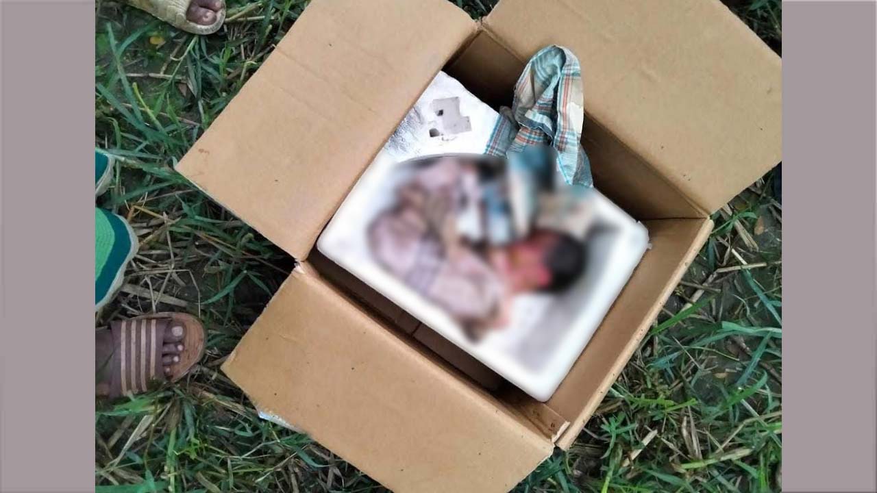 কার্টনে মোড়ানো নবজাতকের লাশ