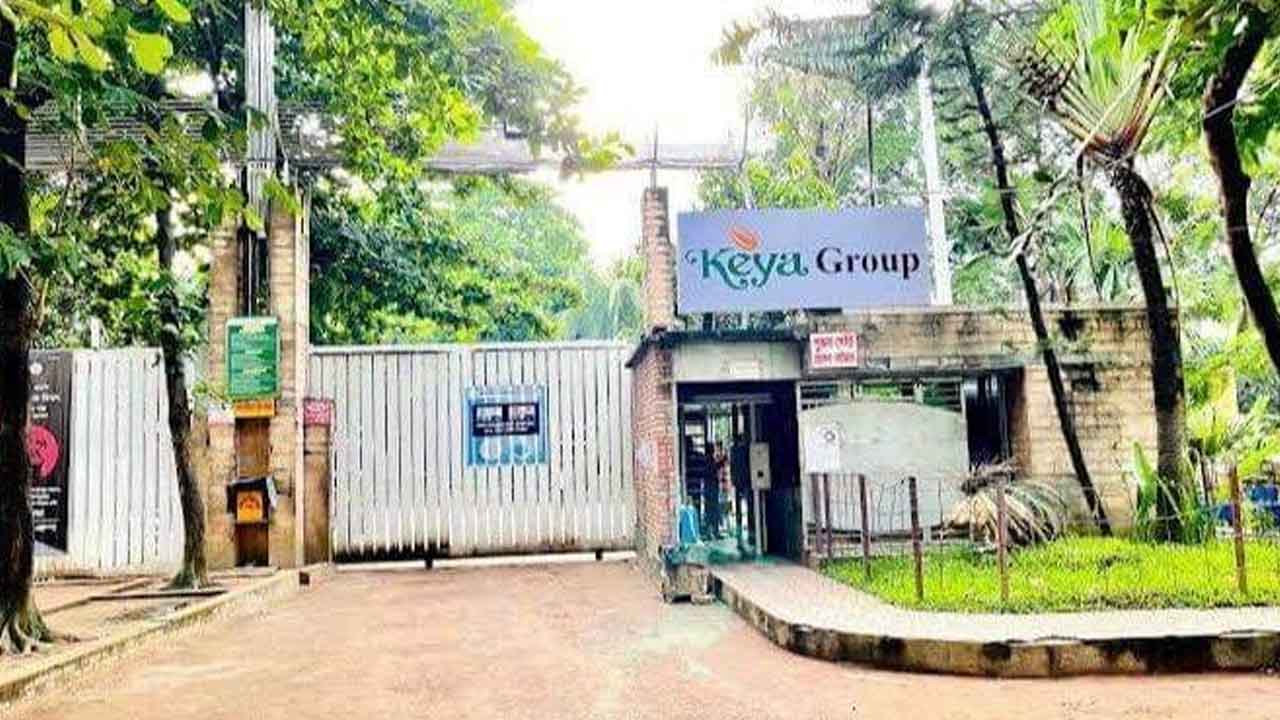 ফাইল ছবি