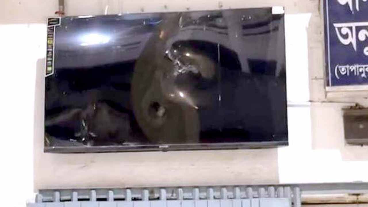 ছবি: সংগৃহীত