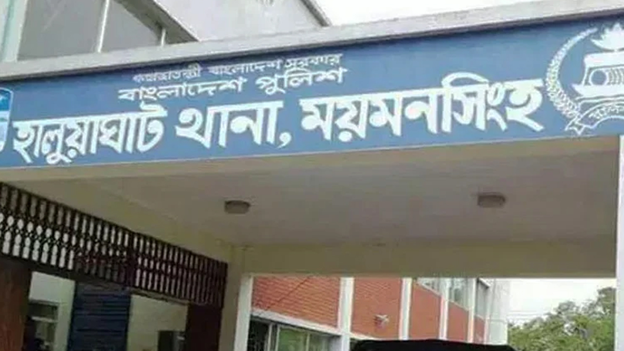সংগৃহীত ছবি
