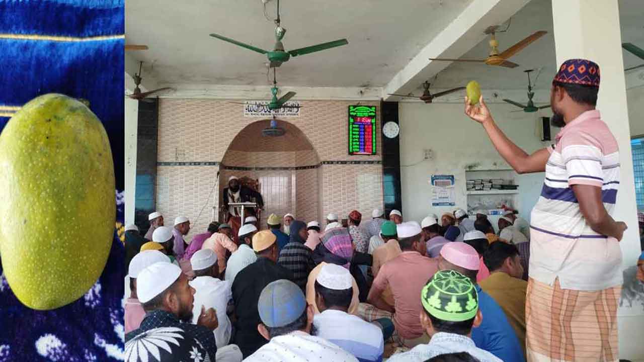 সংগৃহীত ছবি