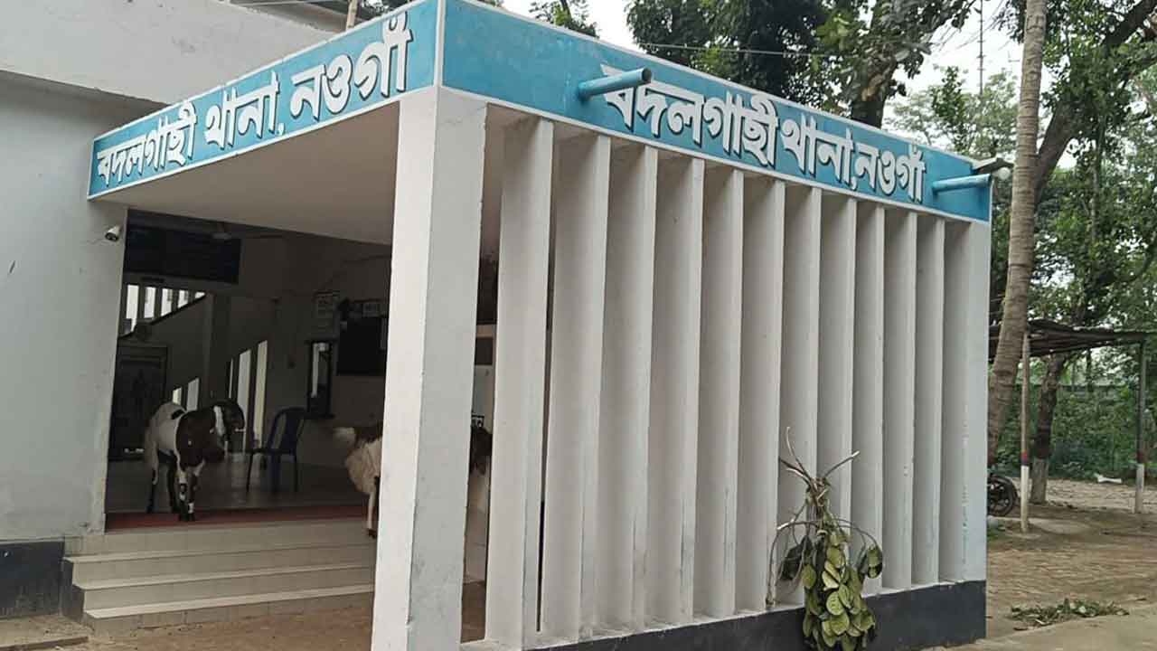 ফাইল ছবি