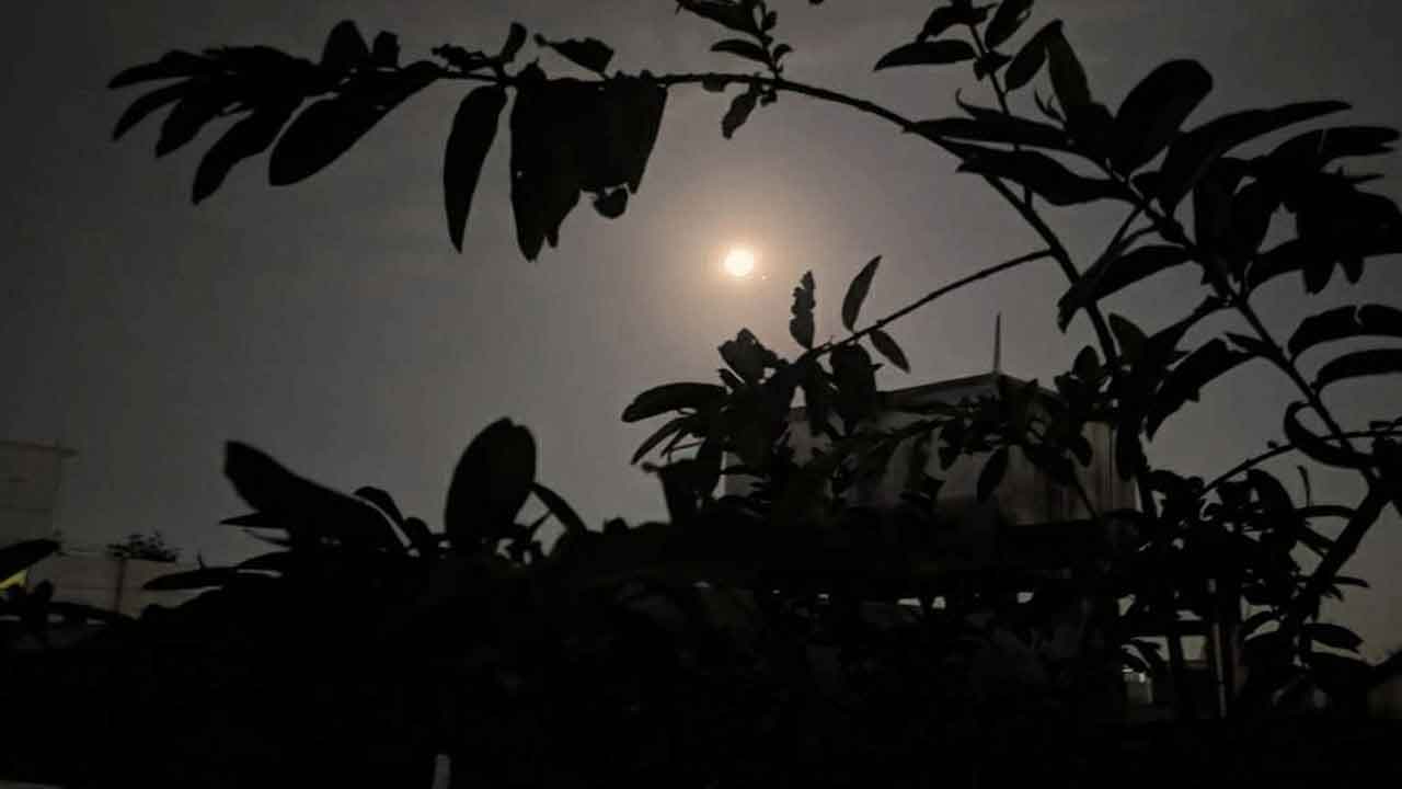 ফাইল ছবি