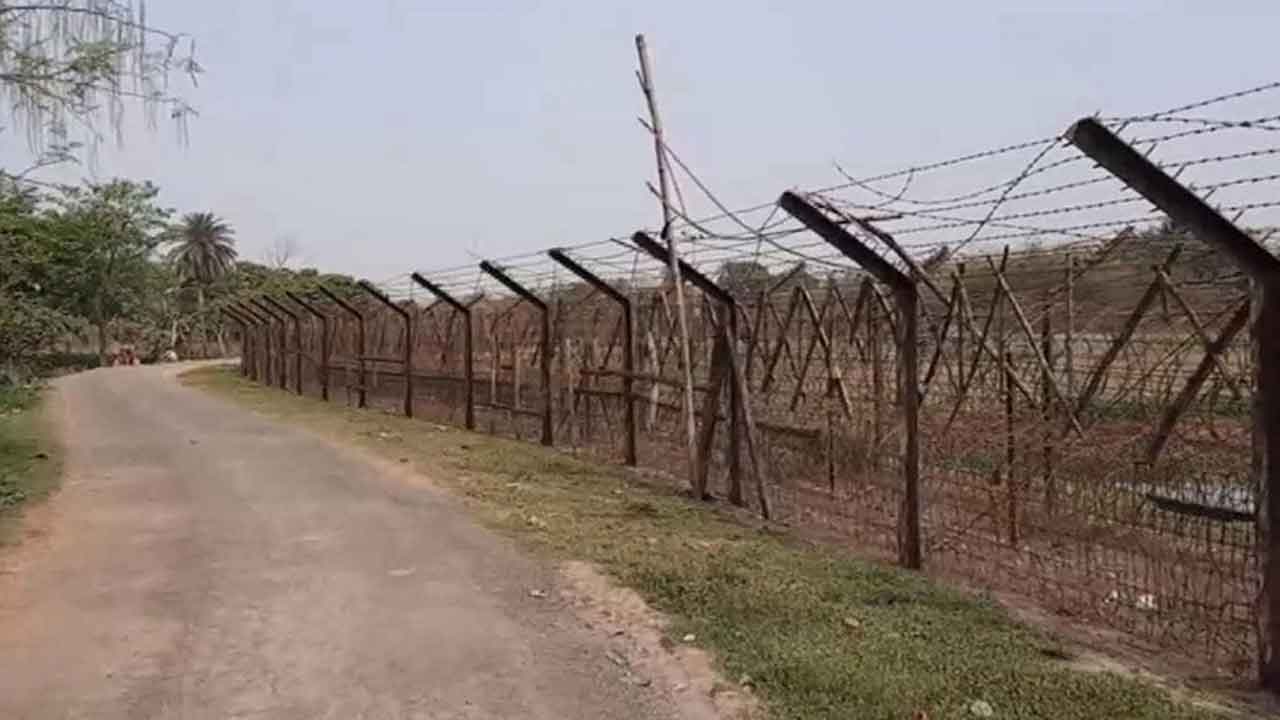 ফাইল ছবি