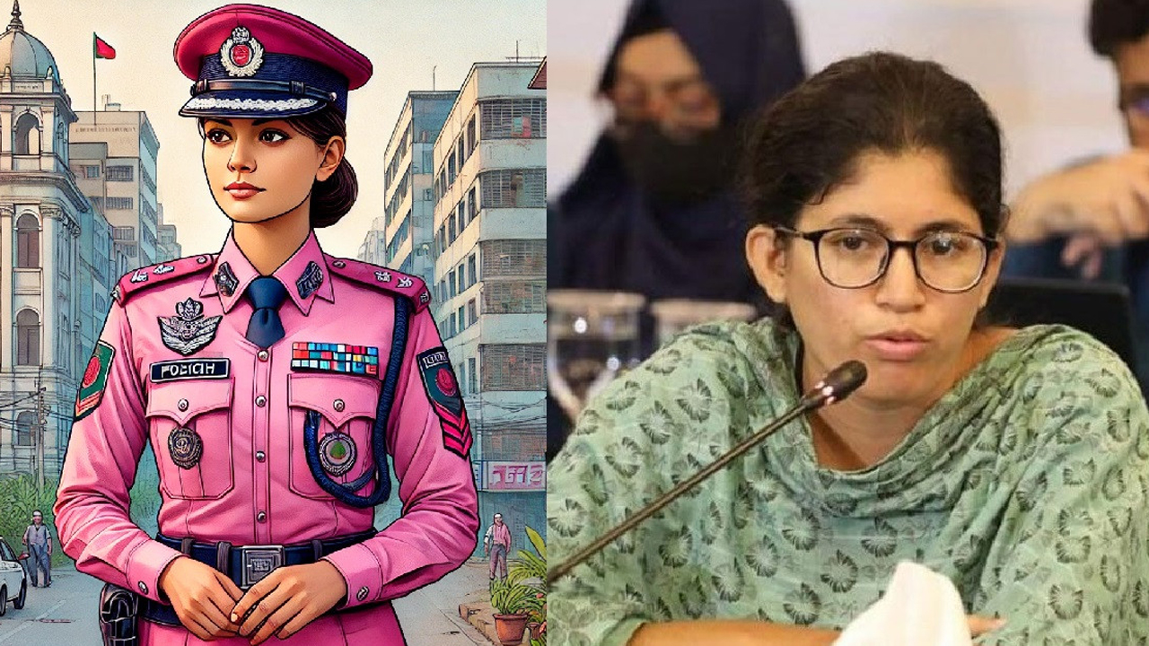 ফাইল ছবি