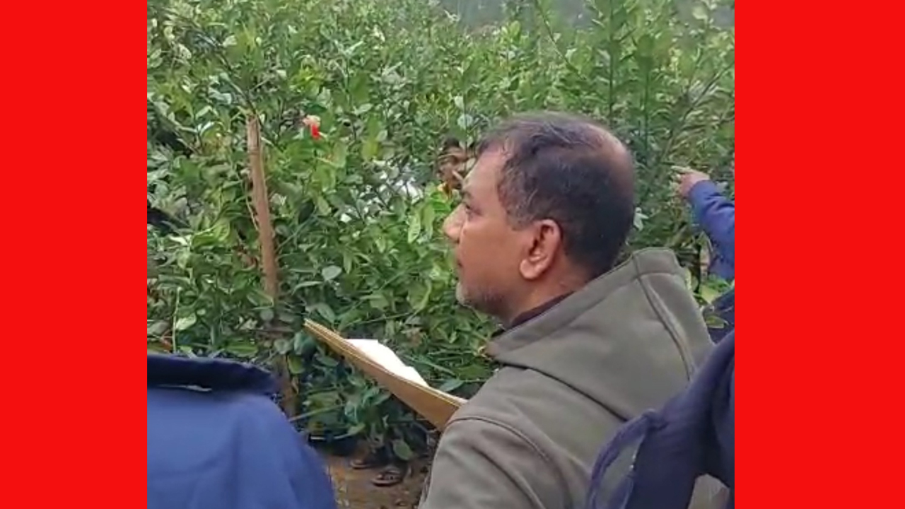 ছবি: দেশ টিভি