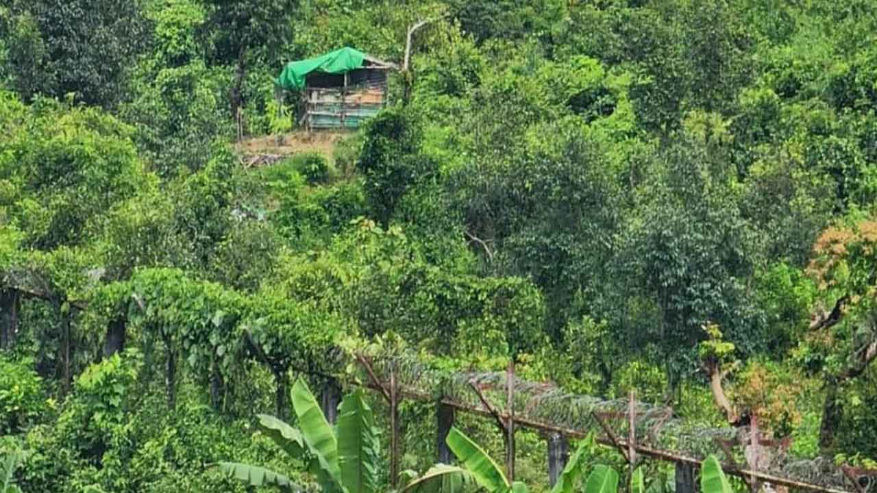 নাইক্ষ্যংছড়ি সীমান্তে মাইন বিষ্ফোরণ, আহত ৩