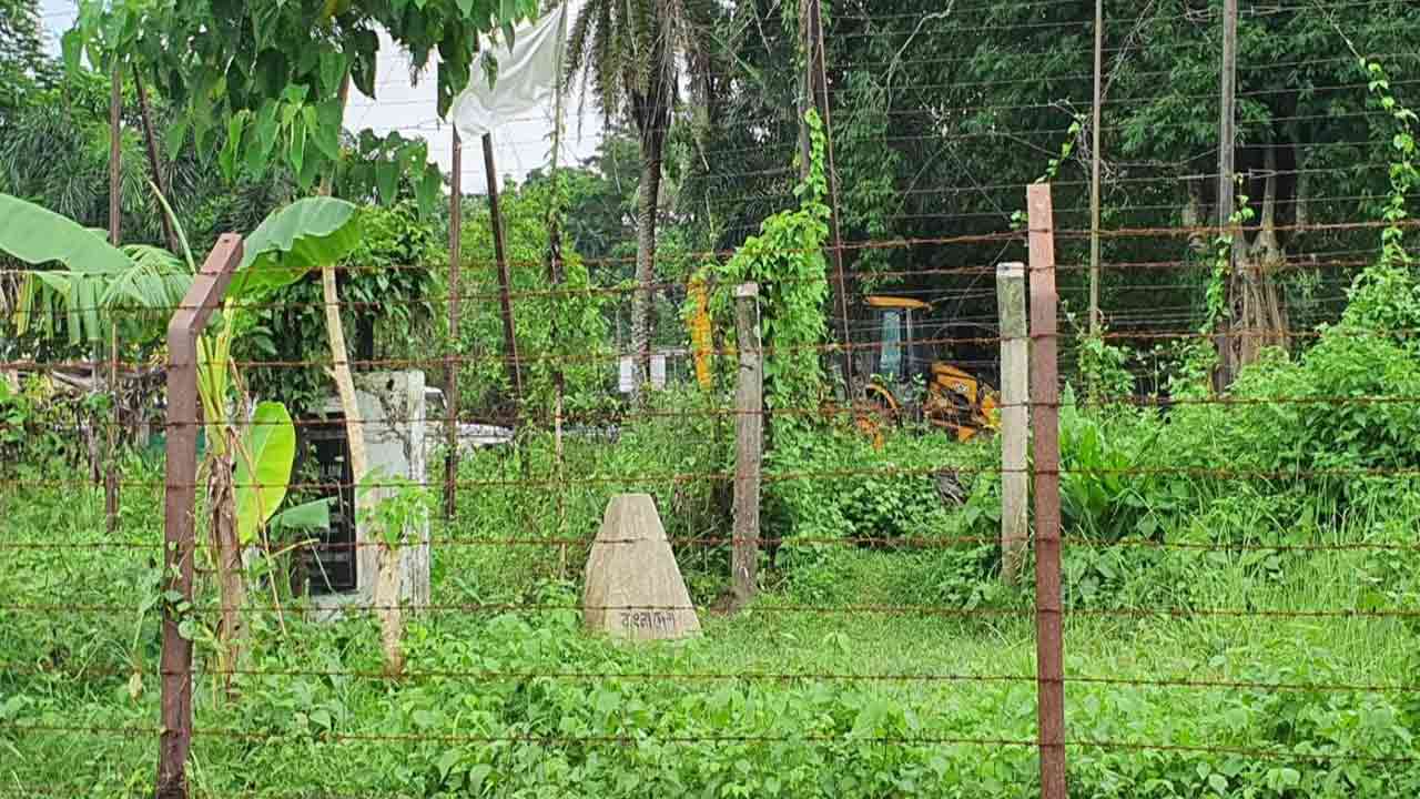 ফাইল ছবি