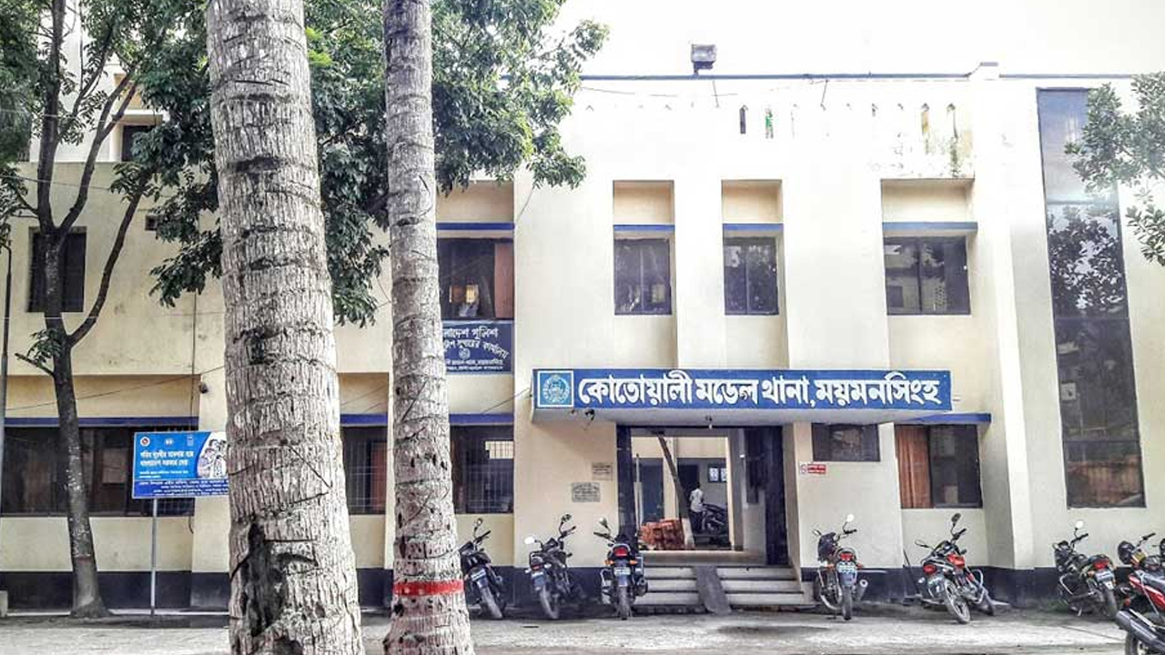 ফাইল ছবি