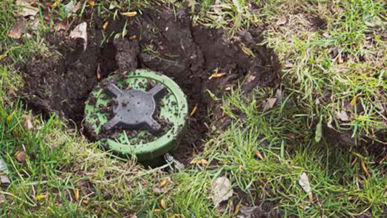 ছবি: দেশ টিভি