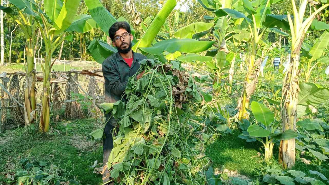 ছবি : দেশ টিভি