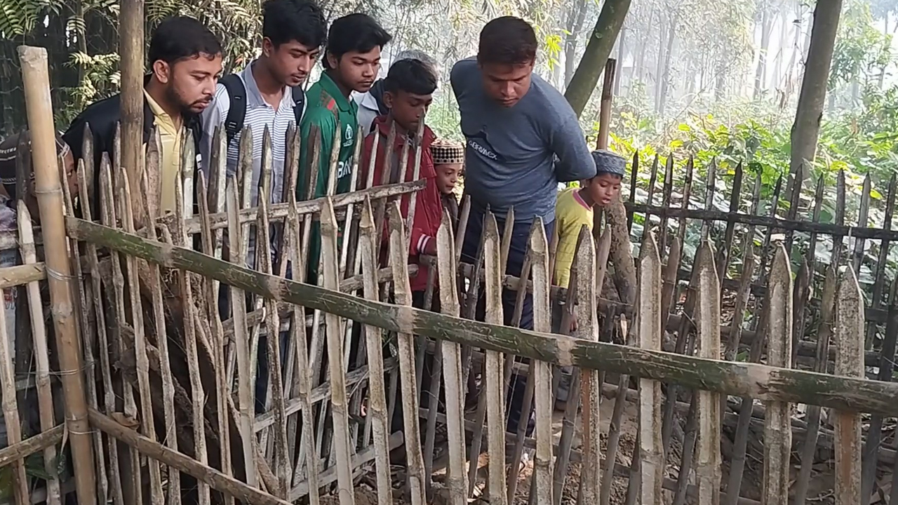 ছবি: দেশ টিভি