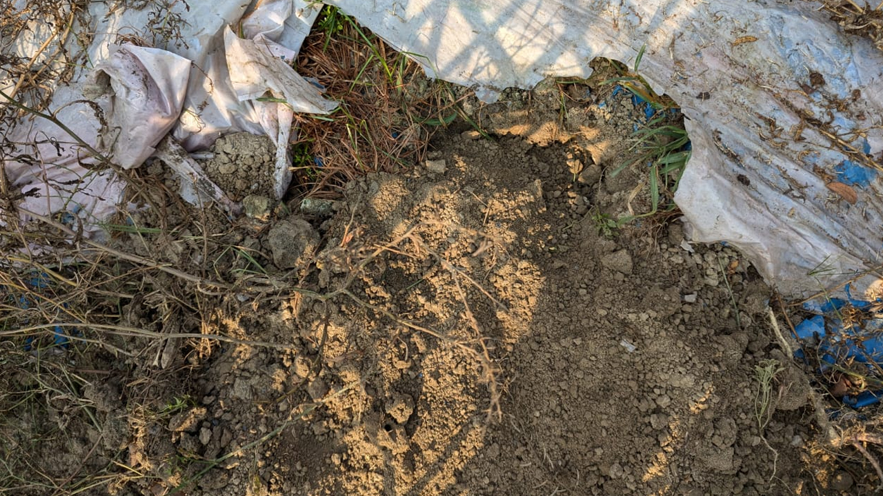 ছবি: দেশ টিভি