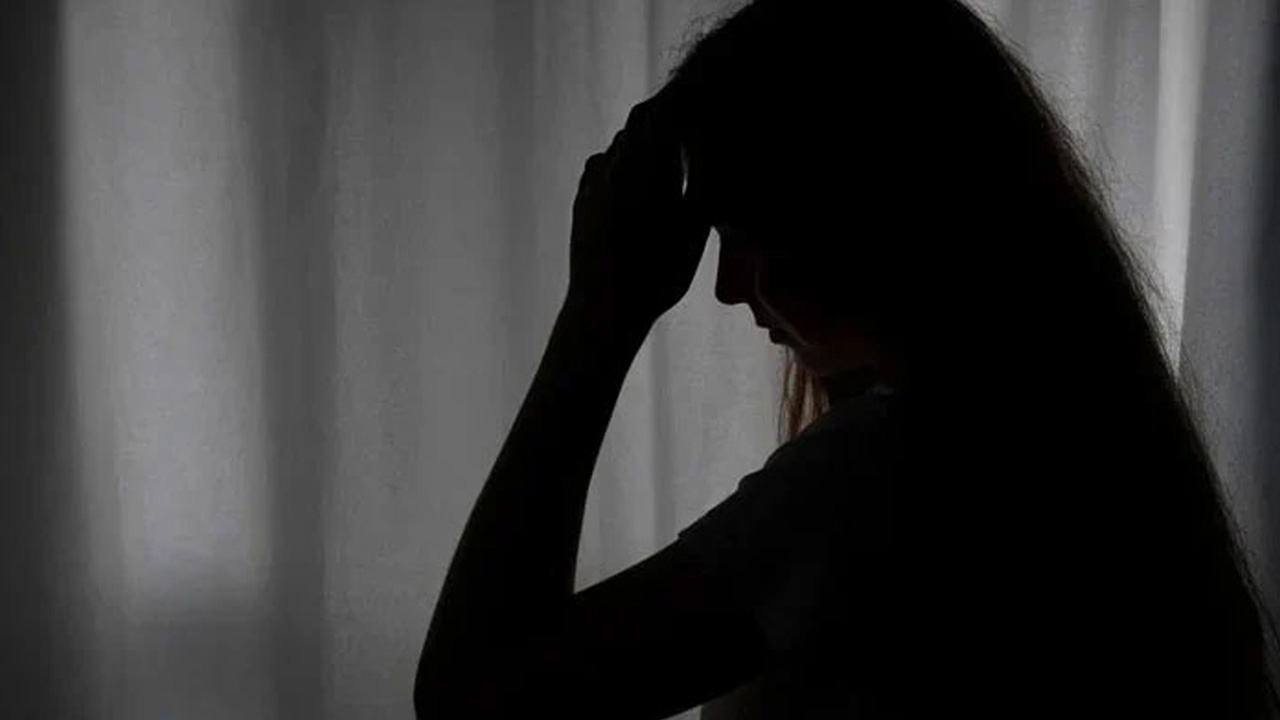 ফাইল ছবি