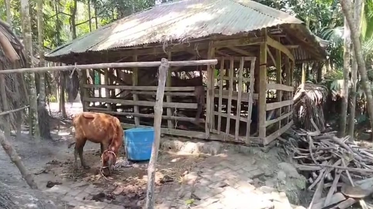 ছবি: দেশ টিভি