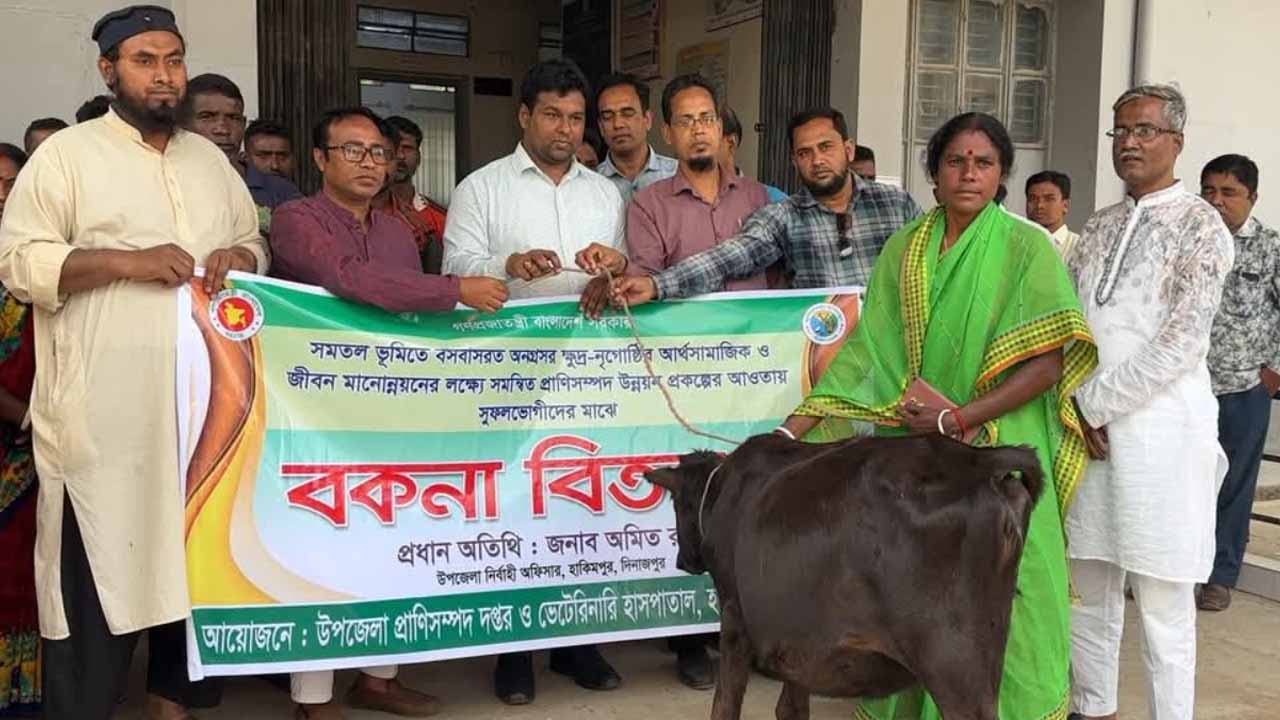 ছবি: দেশ টিভি