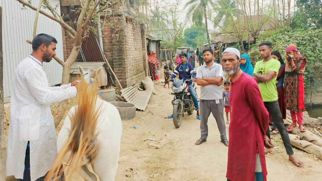 সংগৃহীত ছবি